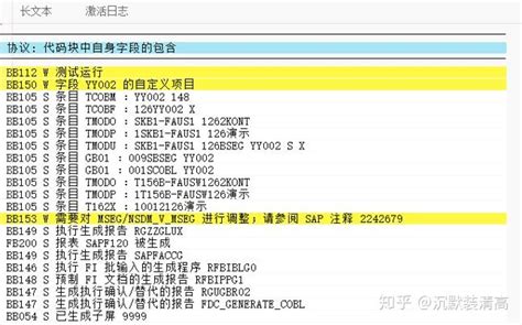SAP Coding Block 的图像结果