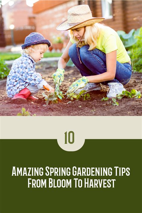 Image result for Spring Gardening Tips