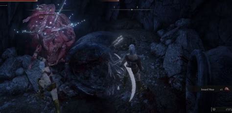 How to Find & Use Innard Meat in Elden Ring: Shadow of the Erdtree