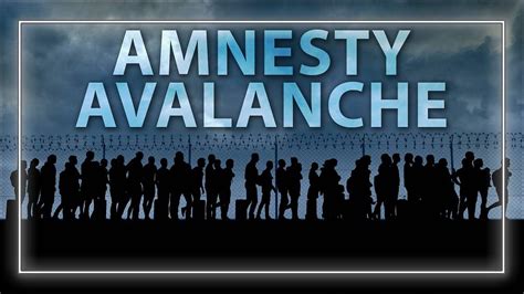 Alien Amnesty 的图像结果