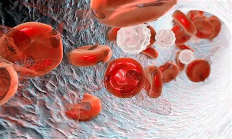 Oral Mitapivat shows Promise for Non-Transfusion-Dependent Thalassemia ...