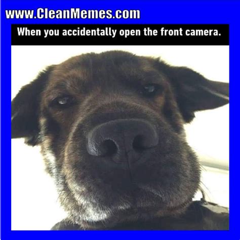 Front Camera Meme 的图像结果