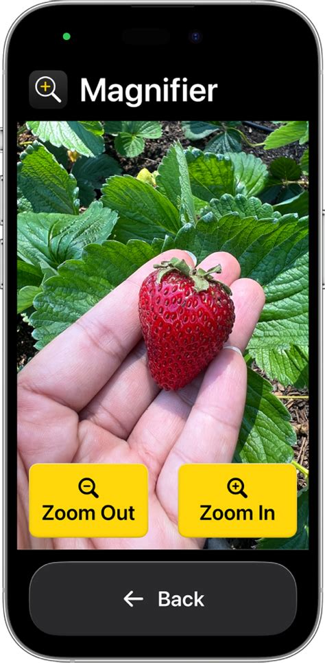 Use iPhone like a magnifying glass with Assistive Access - Apple ...