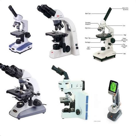 Lab Microscope 的图像结果