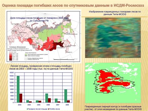 Дистанционные методы обнаружения лесных пожаров и контроля за их ...