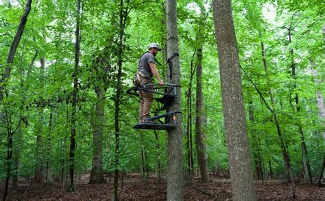 Image result for Using Summit Climbing Tree Stand