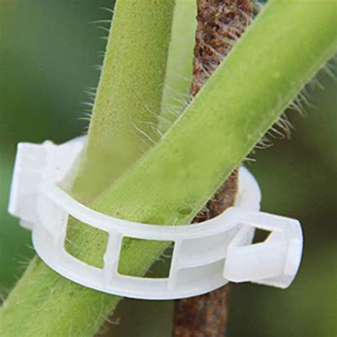 Plant Support Garden Clips - Set of 50 – TrustBasket