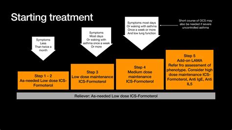 Asthma Review - GINA guidelines summary 2024 | PDF