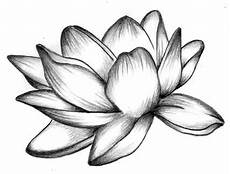 disegni di fiori a matita fiore di loto disegno cerca con idee disegni disegni di fiori a matita fiore di loto disegno cerca con idee disegni