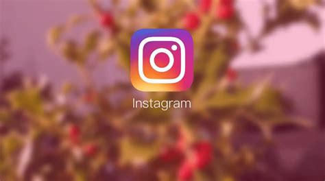 Instagram功能大盘点，忙着营销的你真的了解它们吗？ - 知乎