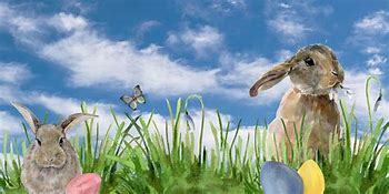 Image result for Bunnies Clip Art
