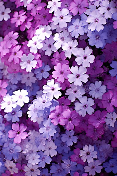 Purple And Blue Flowers Background