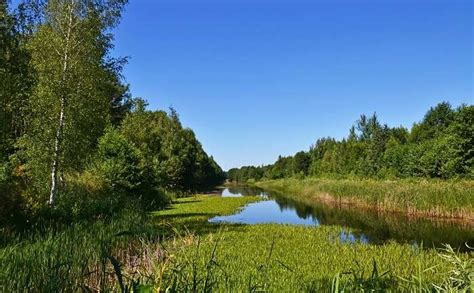10 Best National Parks In Latvia For An Adventurous Vacay