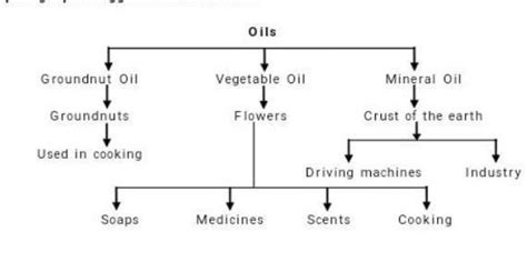 Tree digram of oils - Brainly.in