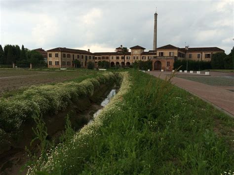 THE BEST Mogliano Veneto Wineries & Vineyards (2026)