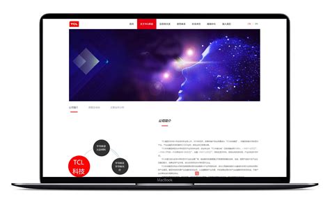 TCL科技集团品牌网站设计-维仆