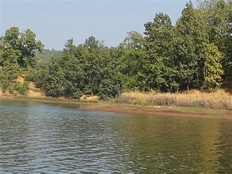 HARSHGIRI LAKE RESORT (Thane, Maharashtra) - Specialty Resort Reviews ...