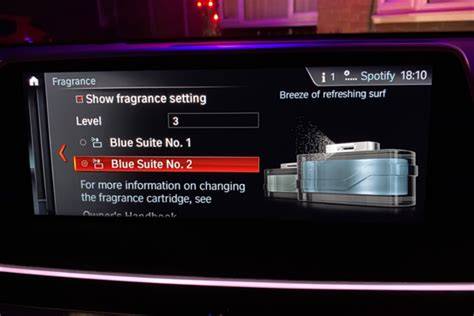 BMW Touch Up Paint: Which Is Best and How to Use It? (Guide)