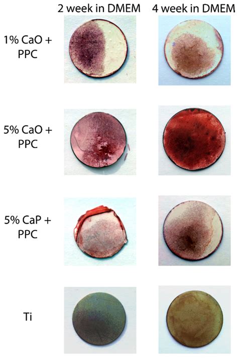 Novel Development of Biocompatible Coatings for Bone Implants