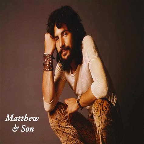 Matthew and Son - Cat Stevens - 专辑 - 网易云音乐