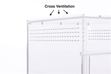 Mua EctoTherm Jumping Spider Enclosure - Complete Acrylic Terrarium Habitat for Spiders ...
