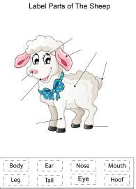 English Worksheet: Label parts of the Sheep Worksheet - Download Free ...