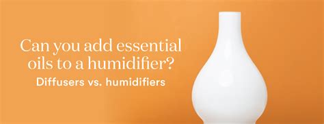 Image result for Humidifier with Essential Oils