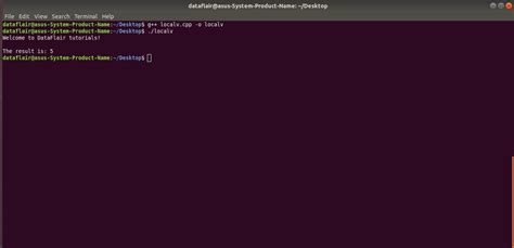 How to Output Variables in C Code 的图像结果