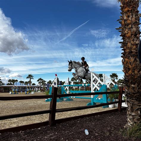 DESERT INTERNATIONAL HORSE PARK (2026) All You Need to Know BEFORE You ...