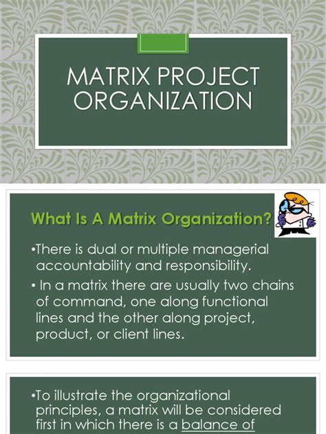 Image result for Matrix Project Design Example