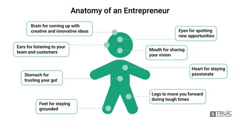 Anatomy of an Entrepreneur 的图像结果