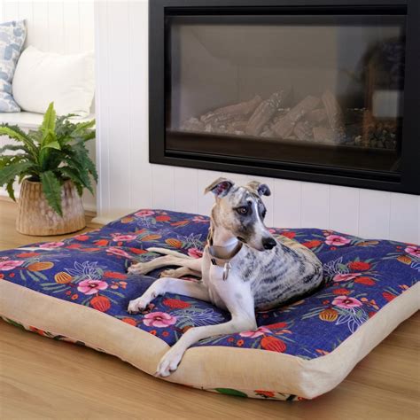Best Dog Beds for Big Dogs | XXL Jumbo DOG BEDS complete with insert – Indie Boho