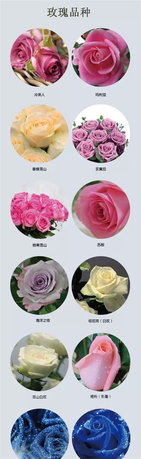 笑yue叻，这一局刚好争夺玫瑰花，取名天才|玫瑰花|天才|华晨宇_新浪新闻