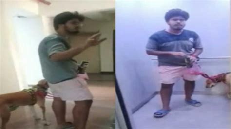 Dog lovers vs residents: Video of pet owner arguing with woman over ...