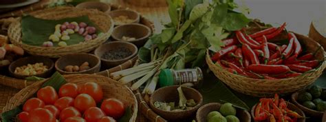 Cooking Course Wmen 的图像结果