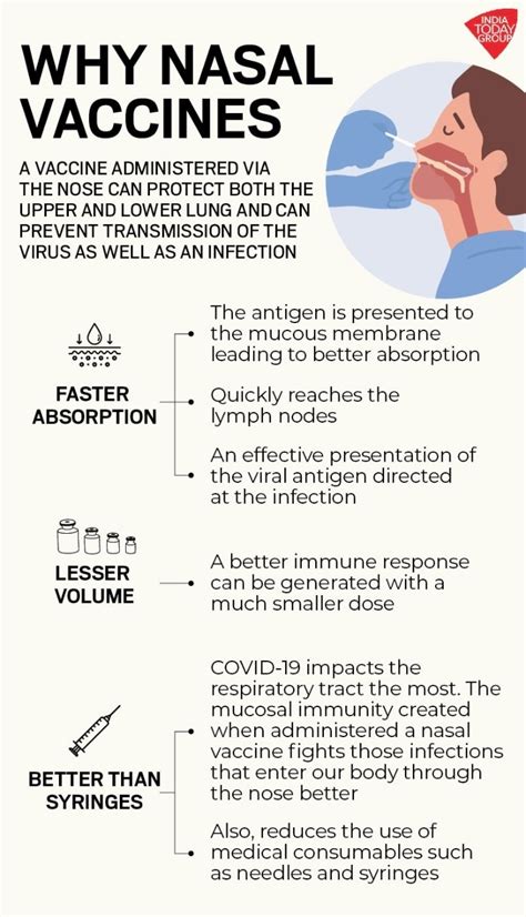 India could get nasal vaccine against Covid-19 soon, trials set to ...