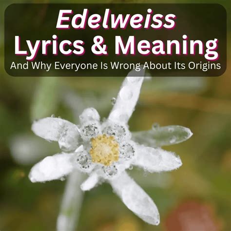 "Hey Jude" Lyrics & Meaning (The Beatles)