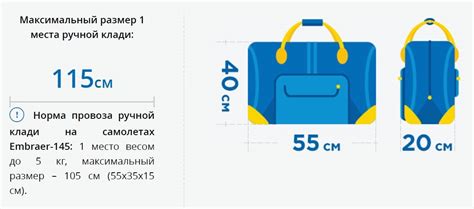 Авиакомпания «Россия»: правила провоза и нормы веса багажа и ручной клади