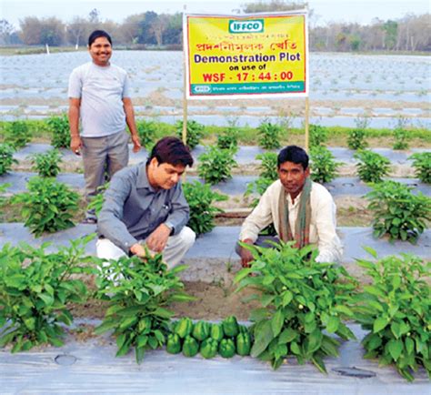 IFFCO Kisan Rural and Micro Financing