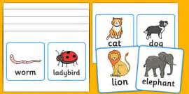 Vertebrates or Invertebrates Photo Cards (teacher made)