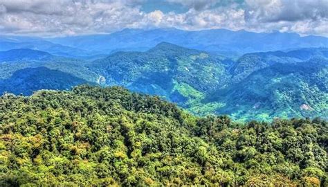 Places To Visit In Valparai For An Offbeat Holiday In 2023