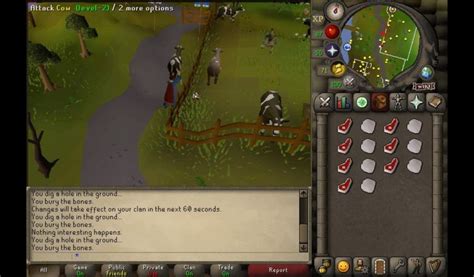 Image result for OSRS Guide F2P