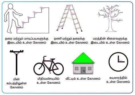 கோணங்களின் அறிமுகம் - வடிவியல் | பருவம் 1 அலகு 1 | 5 ஆம் வகுப்பு கணக்கு ...