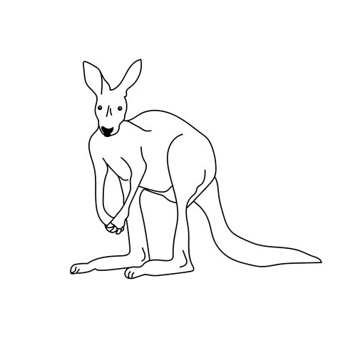 Outline kangaroo coloring page with cute animal, Australia animals rescue 11882118 Vector Art at ...