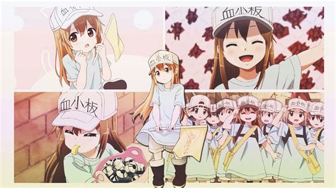 Download Cells At Work Platelet Cute College Wallpaper | Wallpapers.com