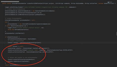 PyCharm Debugger 的图像结果