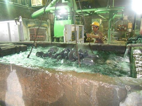 Tulip Casting Pvt. Ltd.