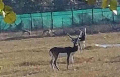 UPSC Daily Current Affairs: 18th October 2025 - Current Affairs and ...