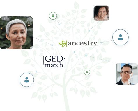 Image result for How to Create Ancestry Database