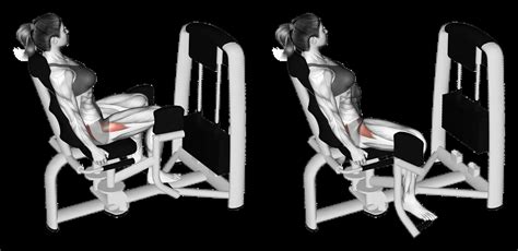 Machine Hip Abduction: Guide, Muscles Worked, Tips | Athlemove
